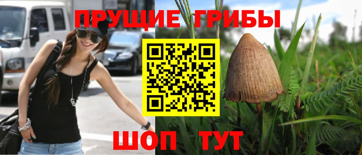 Псилоцибиновые грибы мухоморы  Галлюциногенные грибы ЛСД  Вход с VPN  Саратов 